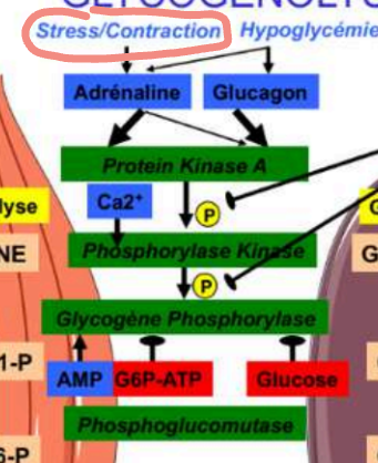 Screenshot 2025-11-25 19.22.36.png