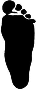 empreinte-pied_plat.jpg