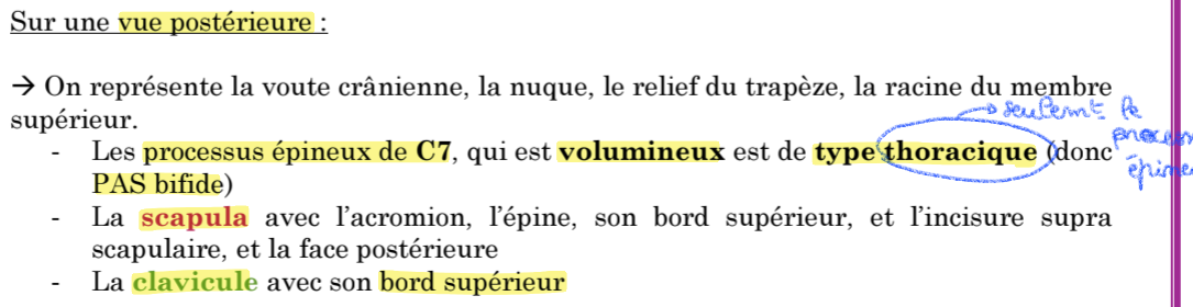 Capture d'écran 2026-01-20 092440.png