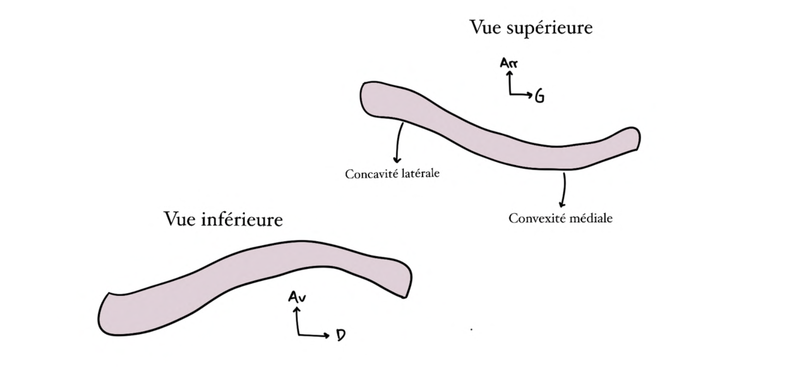 Capture d’écran 2026-01-27 à 06.15.43.png