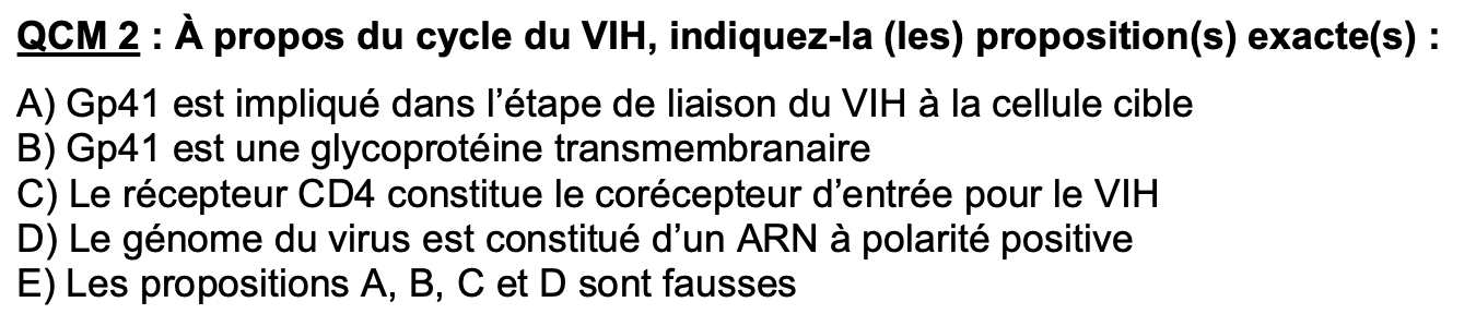 Capture d’écran 2026-01-28 à 00.07.38.png