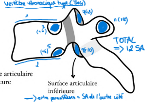 Capture d'écran 2026-02-15 215315.png
