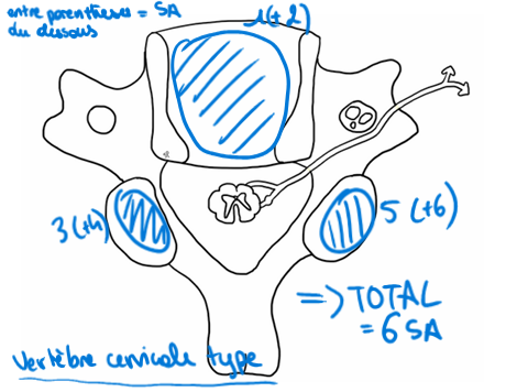 Capture d'écran 2026-02-15 215931.png