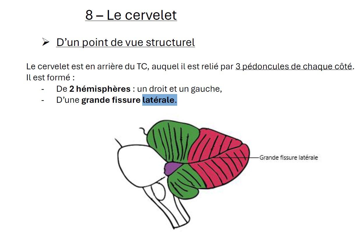 Capture d'écran 2026-02-23 111801.jpg