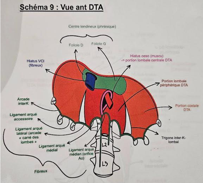 Capture d’écran 2026-02-23 184333.png