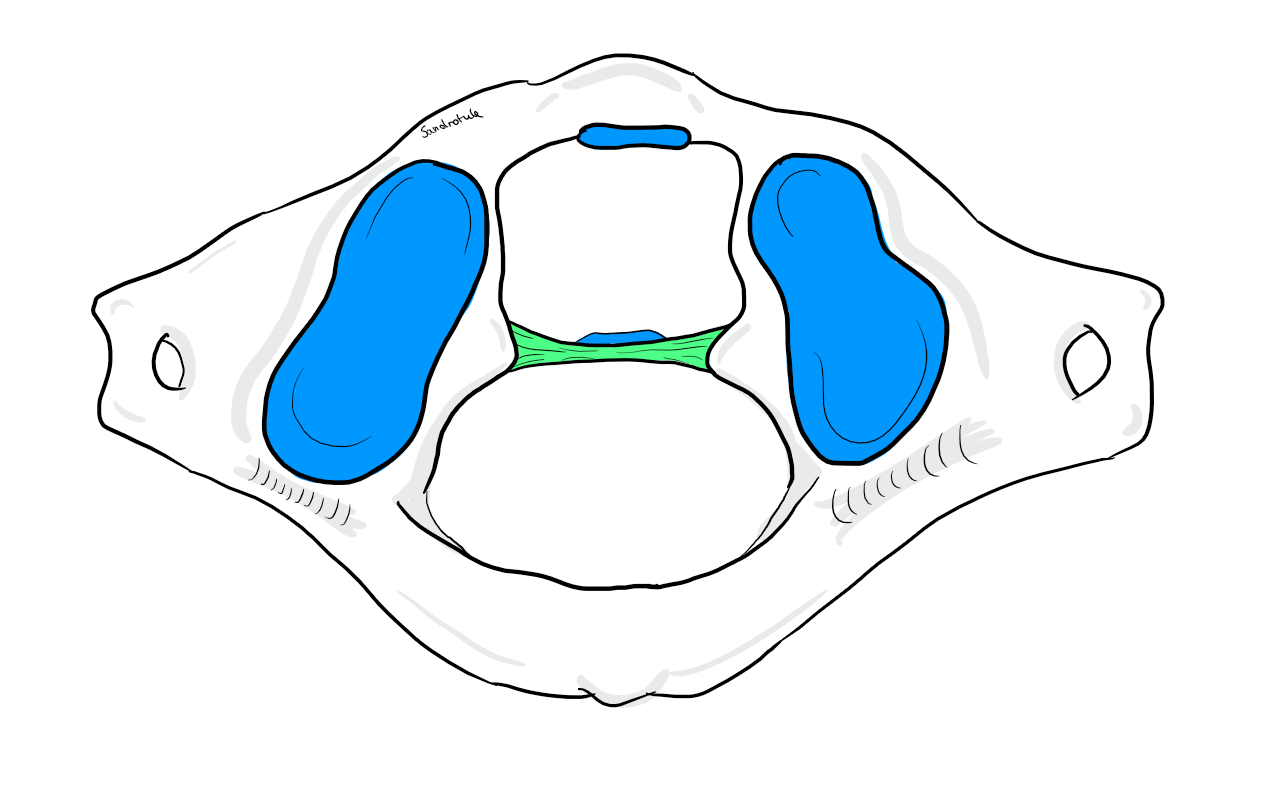 Capture d'écran 2026-02-18 111211.png