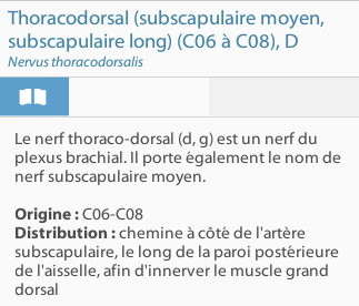 Capture d'écran 2026-03-05 182727.png