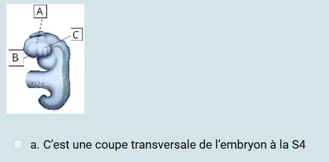 Capture d'écran 2026-03-21 211442.png