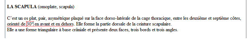 scapula.png