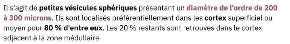 Capture d'écran 2026-03-24 102956.png