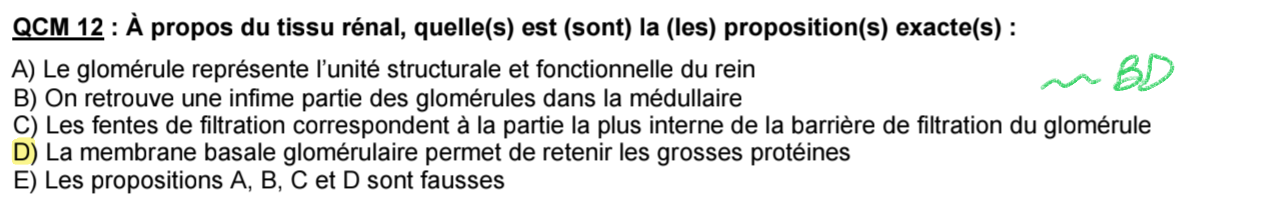 Capture d'écran 2026-03-24 103012.png
