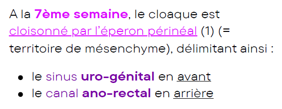 Capture d'écran 2026-03-29 165538.png