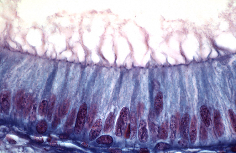 Capture d'écran 2026-04-04 202137.png