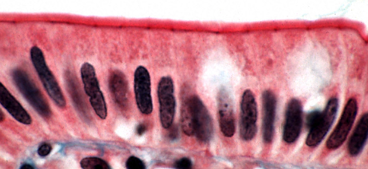 Capture d'écran 2026-04-04 205453.png