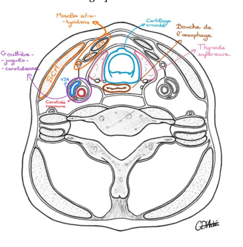 Capture d’écran 2026-04-05 à 15.14.28.png