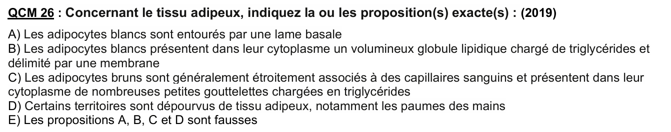 Capture d'écran 2026-04-11 164034.png