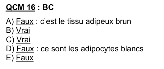 Capture d'écran 2026-04-11 164018.png
