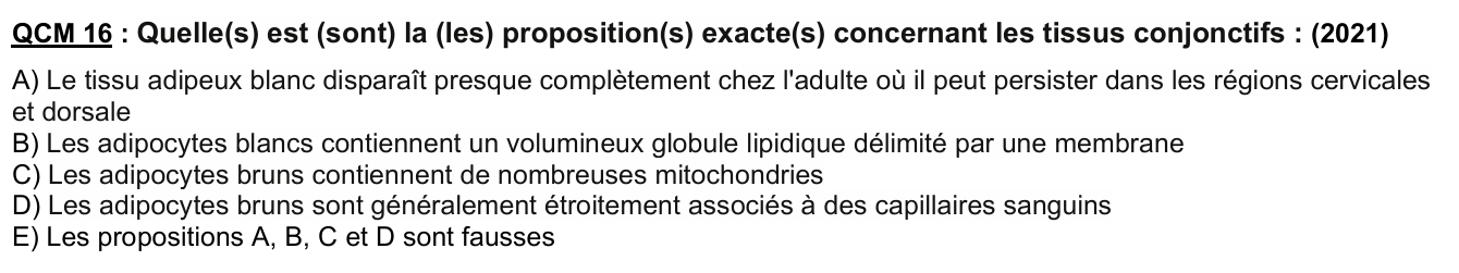 Capture d'écran 2026-04-11 164008.png