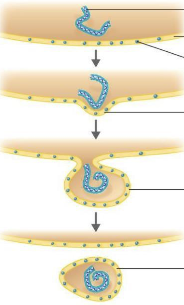 Capture d’écran 2026-04-12 à 10.15.03.png