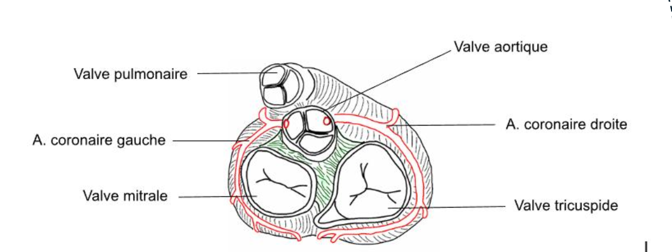 Capture d’écran 2026-04-20 à 09.13.21.png