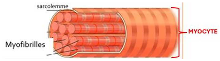 Capture d'écran 2026-04-26 123902.png