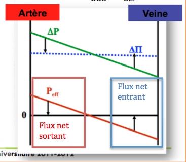 Capture d’écran 2012-05-27 à 19.00.31.png