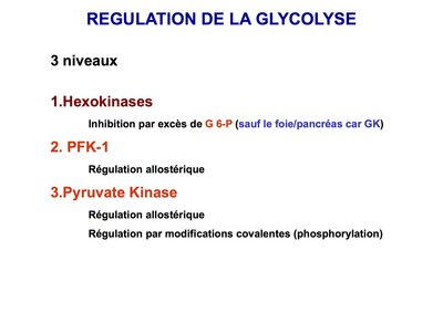 Glycolyse et sa regulation  2011-2012 (glissé(e)s) 2.jpg