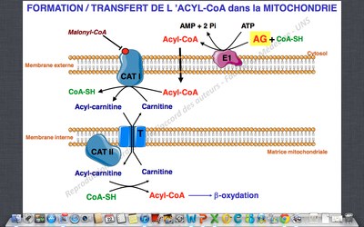 Capture d’écran 2012-08-22 à 23.50.06.png
