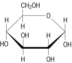 Structural-formula-for-x3b1-D-glucose.jpeg