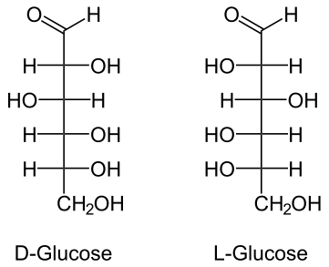 L et D.png