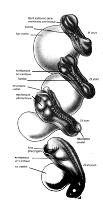 Capture d’écran 2012-09-17 à 19.48.18.png