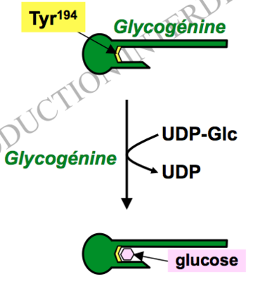 Capture d’écran 2012-09-18 à 16.04.16.png