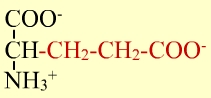 glutamate.jpg