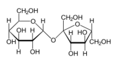 sacharose.PNG