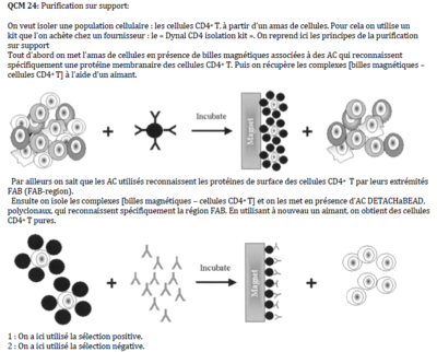 Purification support.PNG