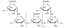 250px-Glykogen.png