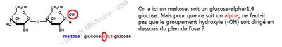 QUESTION BIOCHIMIE MALTOSE .jpg