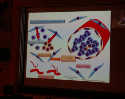 Capture d’écran 2012-10-02 à 11.49.15.gif