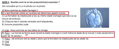 Question embryo.jpg