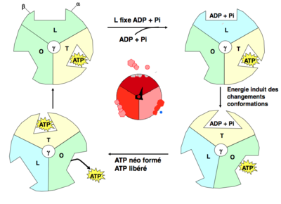 Capture d’écran 2012-10-07 à 17.52.46.png