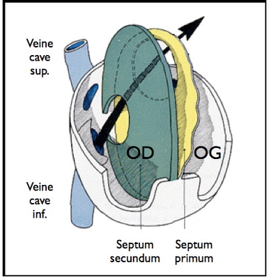 Capture d’écran 2012-10-08 à 22.07.52.png