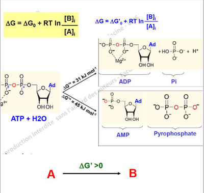 Capture d’écran 2012-10-10 à 15.46.38.png