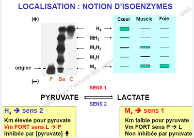 Capture d’écran 2012-10-12 à 18.12.21.png