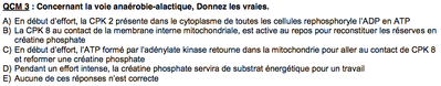 Capture d’écran 2012-10-13 à 10.46.01.png
