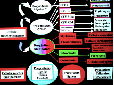 Capture d’écran 2012-10-17 à 14.57.08.png