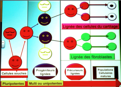 Capture d’écran 2012-10-17 à 14.57.26.png