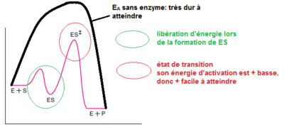 diagramme énergétique.png