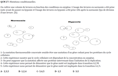 QCM 27 2010 2011 biocell.PNG