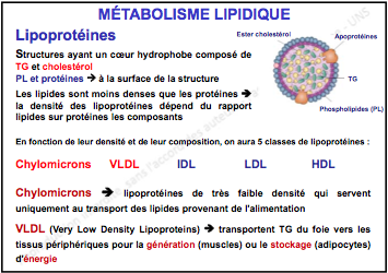crotte de schnek.png