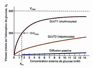 Capture d’écran 2012-10-26 à 21.53.56.png
